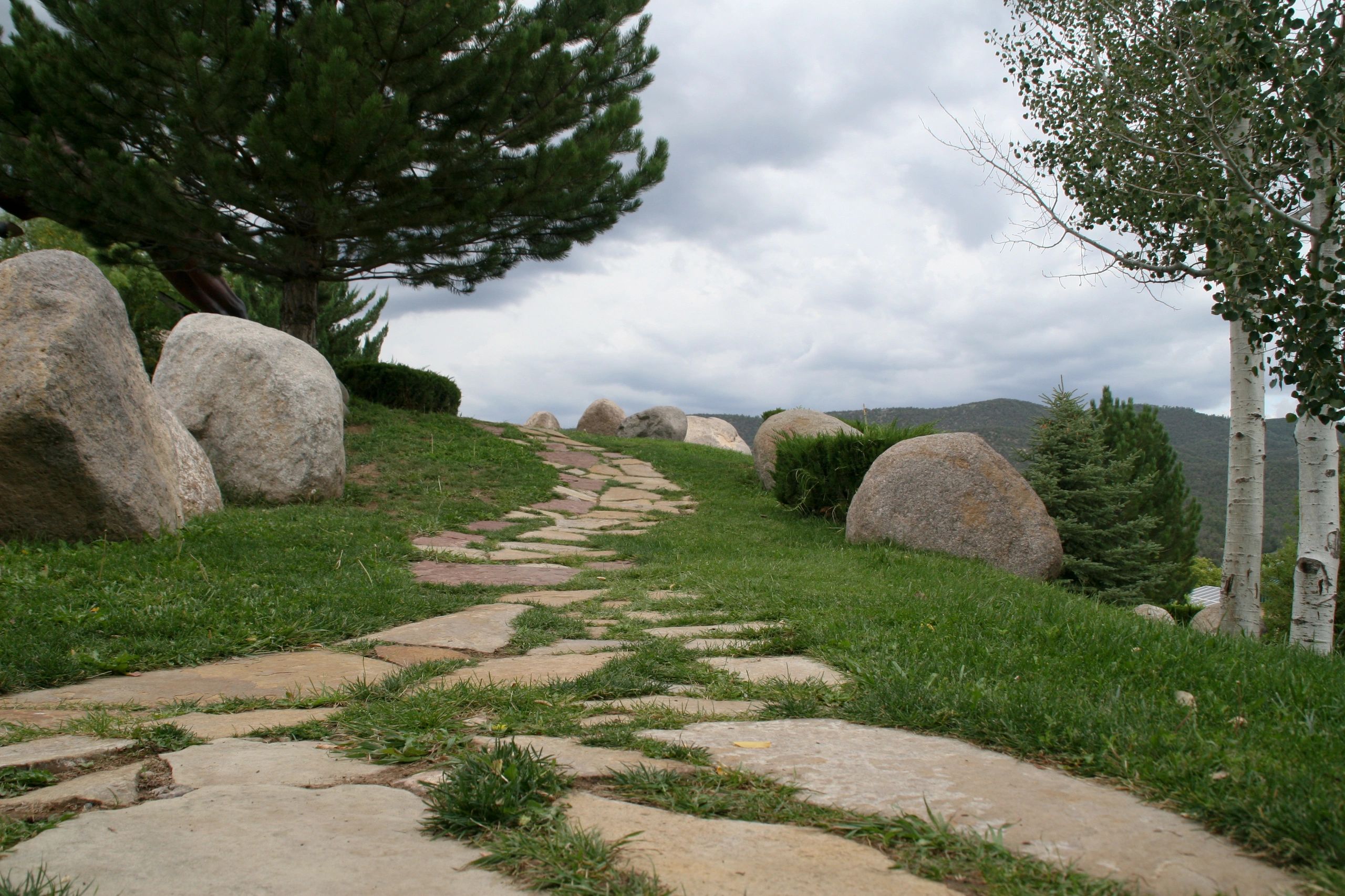 Stone walkway path through landscaped yard